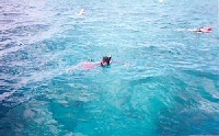 Folkestone Underwater